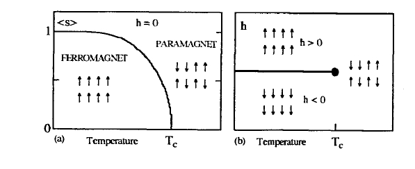 Ising ferromagnet