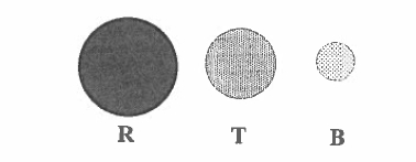 Light 4f atoms