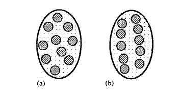 Magnetic particles in a matrix