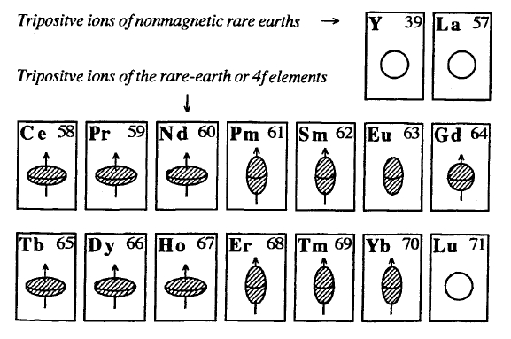 Shapes of 4f electron clouds of rare earth ions