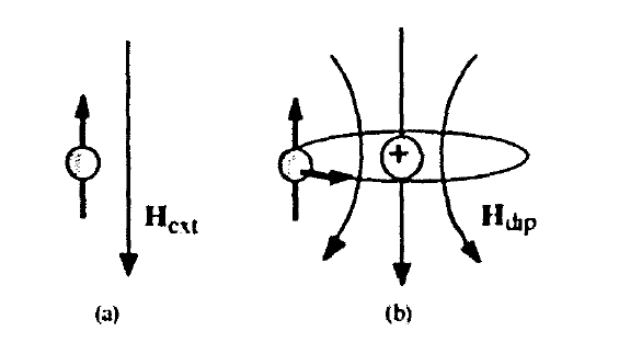 Spin Magnetism