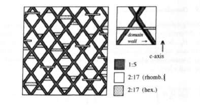 The schematic microstructure