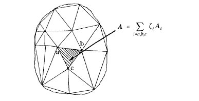 Triangular mesh used