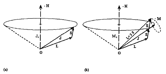 Vector Model of the angular momentum