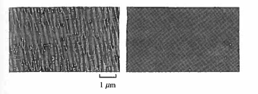 microstructure of anisotropic Alnico