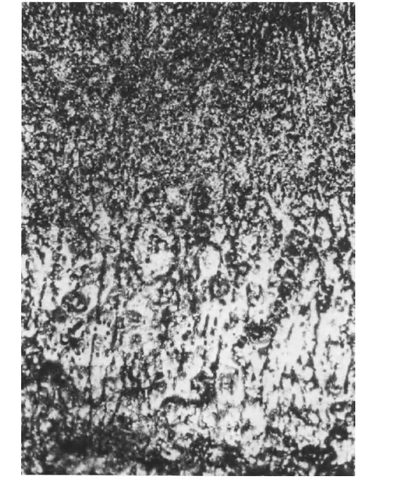 Microstructure of cross section of a 1 in. diam