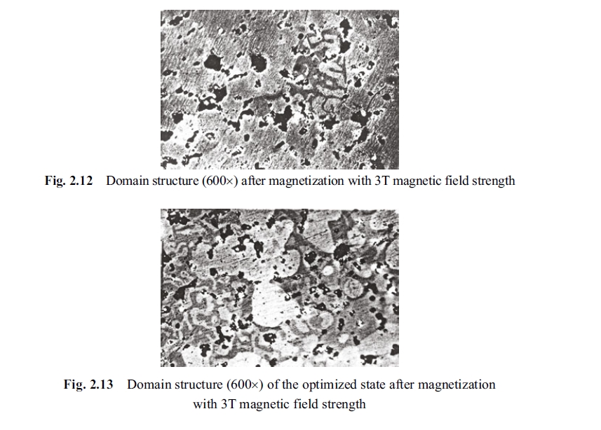 Domain structure 1