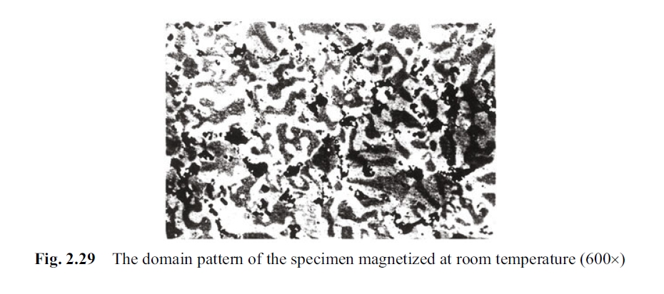 The domain pattern of the specimen magnetized at room temperature