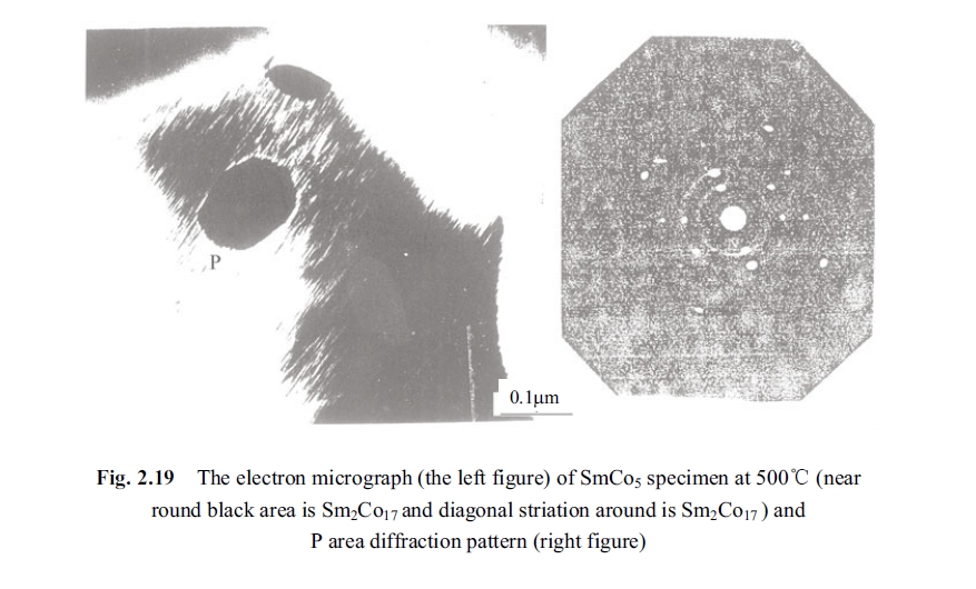 The electron micrograph