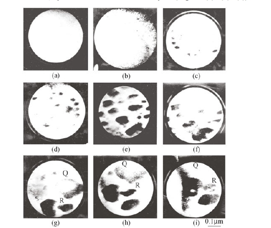 The microstructure of SmCo5 specimen